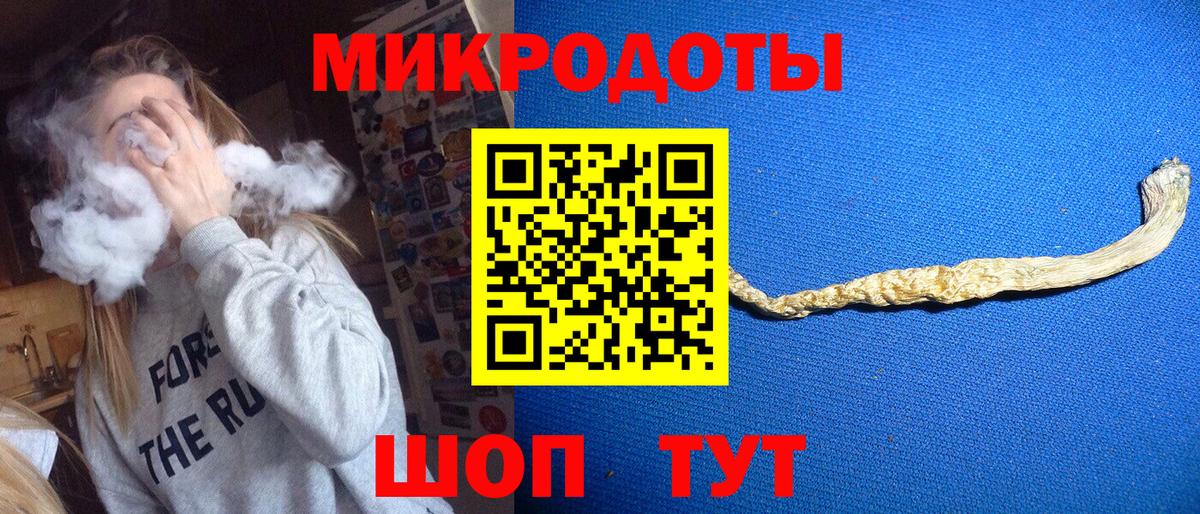 Галлюциногенные грибы Psilocybine cubensis  Вход с VPN  Ленинск-Кузнецкий 