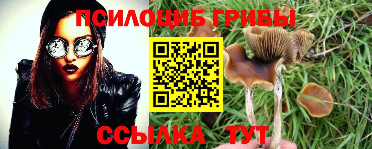 Псилоцибиновые грибы Magic Shrooms Ленинск-Кузнецкий