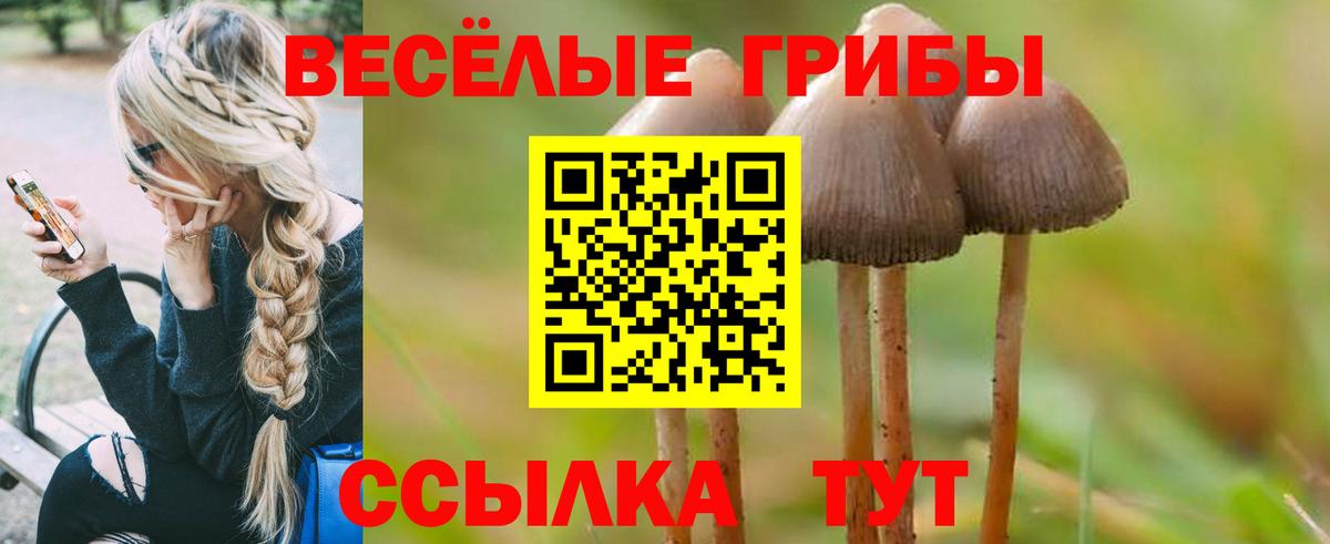 ТГК  ГАШ  Ленинск-Кузнецкий  Меф кристаллы  Вход с VPN 